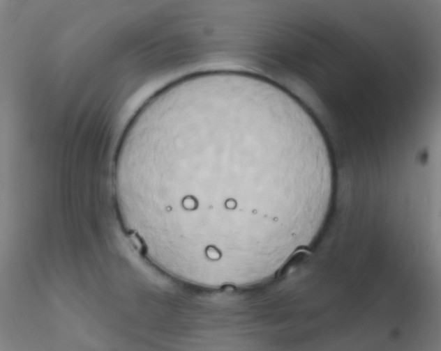 X0000115171380200911251324