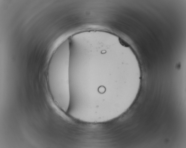 X0000115171381200911251324