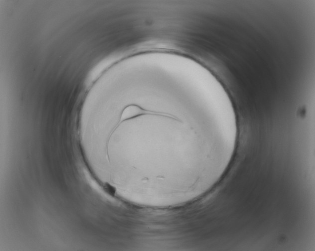 X0000115171382200911251324