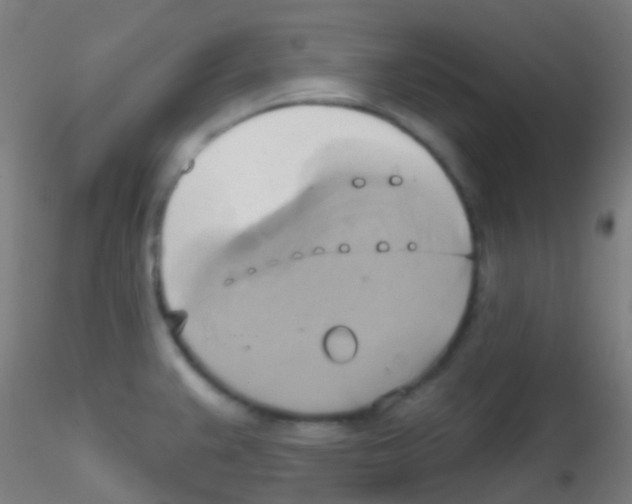 X0000115171383200911251324