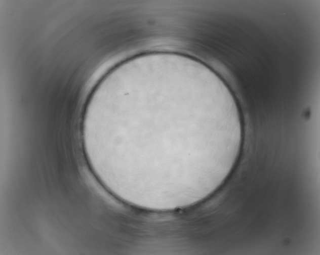 X0000115171384200911251324