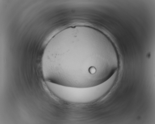 X0000115171385200911251324