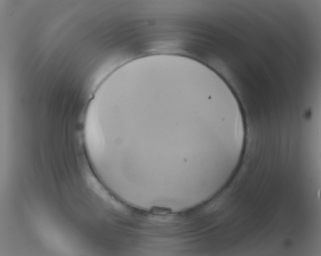 X0000115171386200911251324