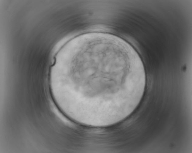 X0000115171387200911251324