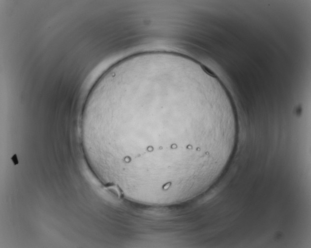 X0000115171388200911251324