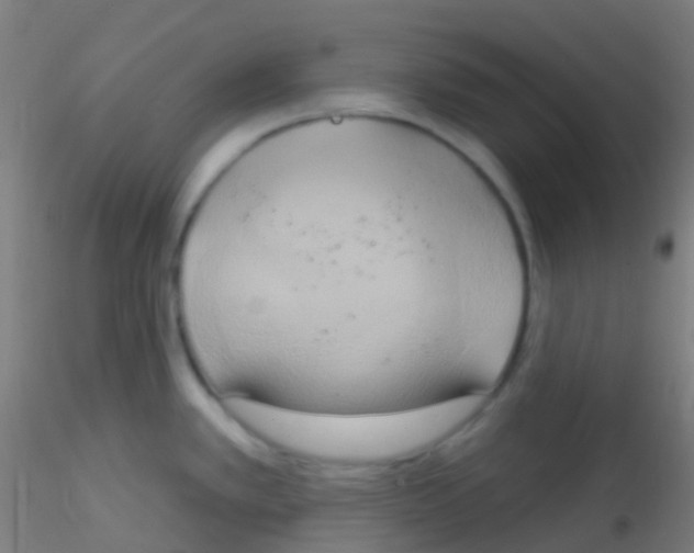 X0000115171389200911251324