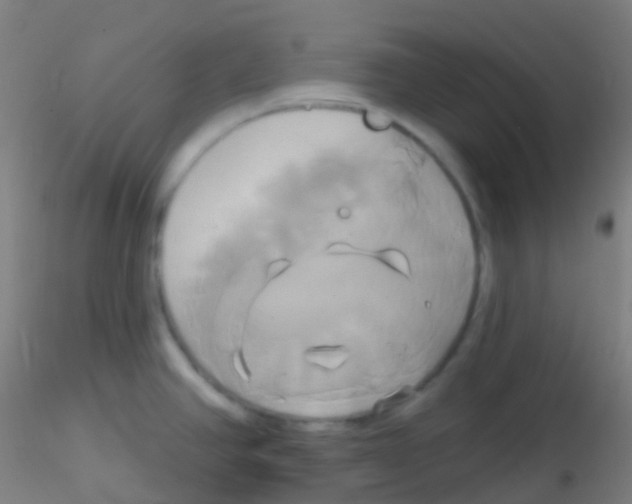 X0000115171390200911251324