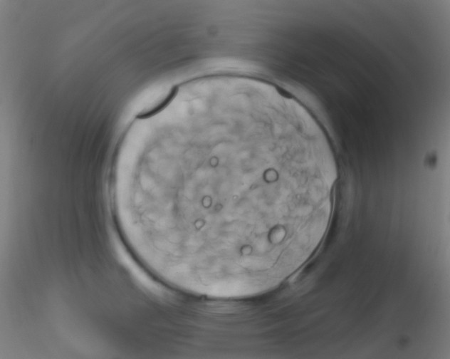 X0000115171391200911251324