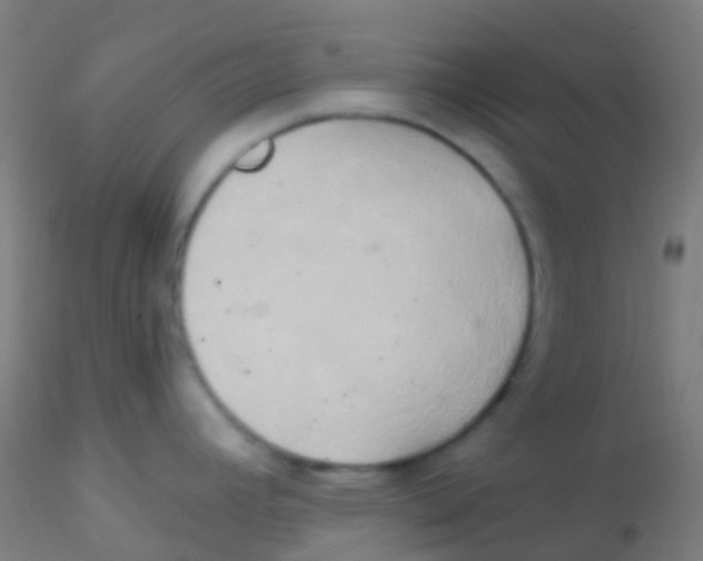 X0000115171392200911251324