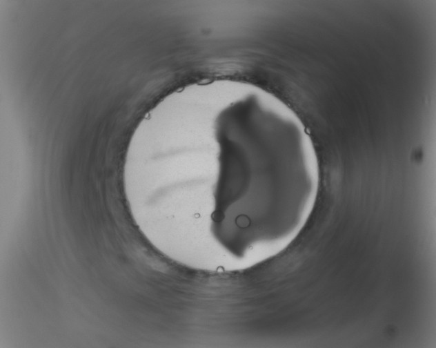 X0000115171393200911251323