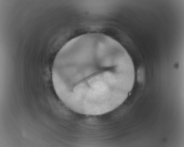 X0000115171395200911251323