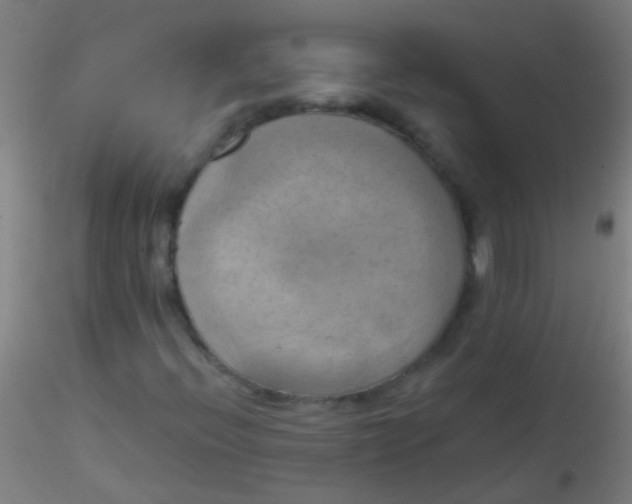 X0000115171396200911251323