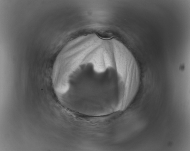 X0000115171397200911251323