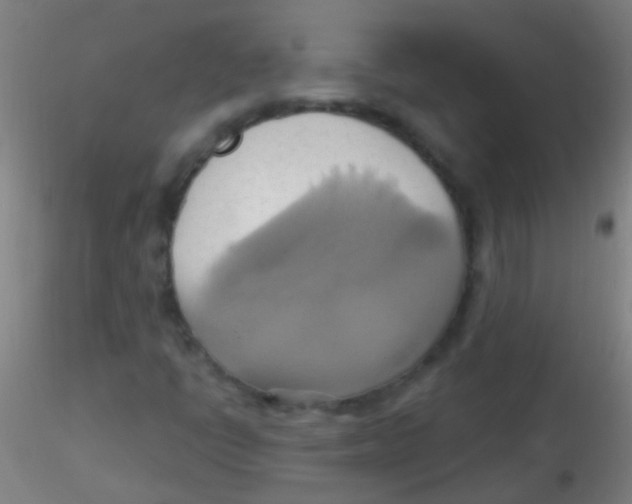 X0000115171398200911251323