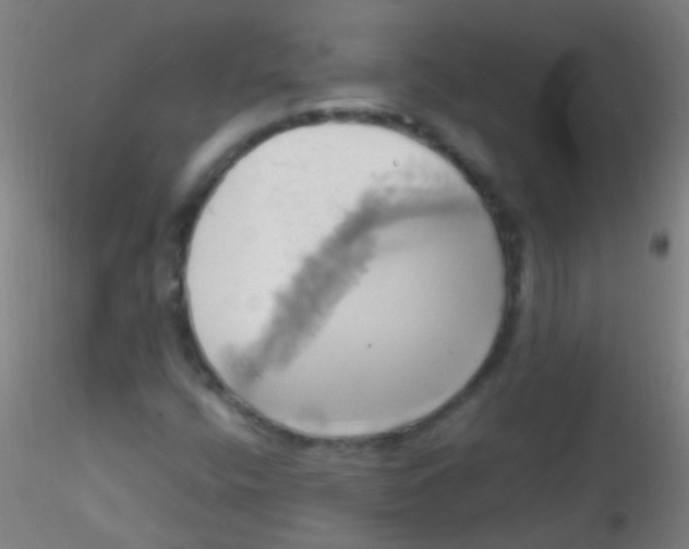 X0000115171400200911251323