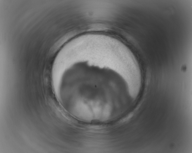 X0000115171401200911251323