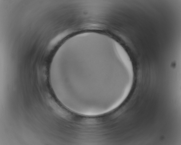 X0000115171402200911251323