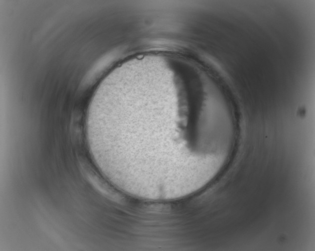 X0000115171403200911251323