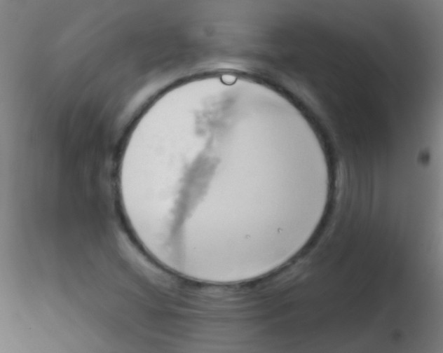 X0000115171404200911251323