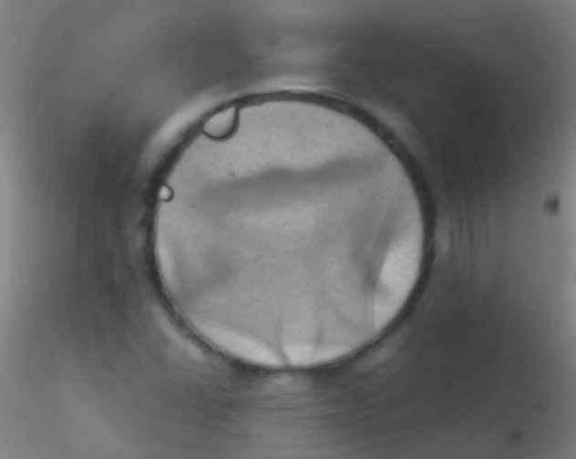 X0000115171406200911251323