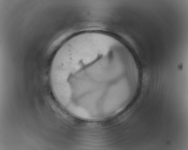 X0000115171407200911251323