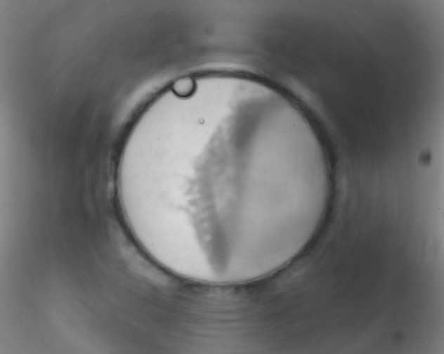 X0000115171408200911251323