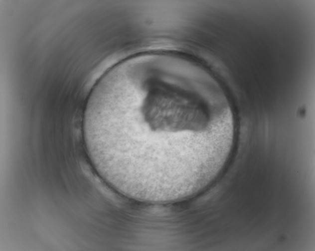 X0000115171409200911251323