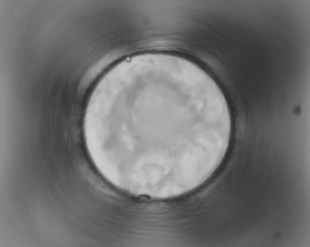 X0000115171410200911251323