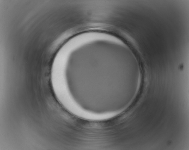 X0000115171411200911251323