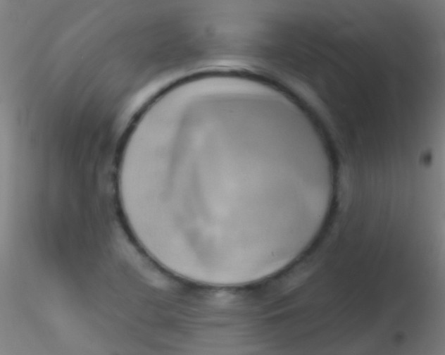 X0000115171412200911251323