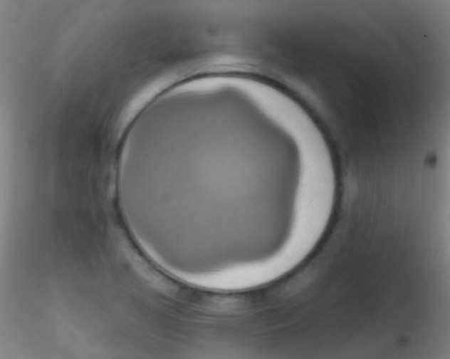 X0000115171413200911251323