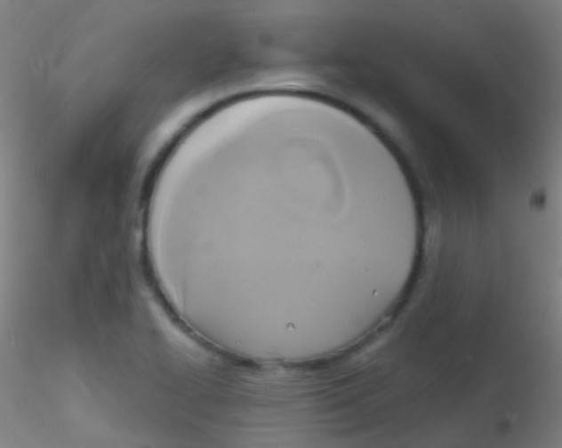 X0000115171414200911251323