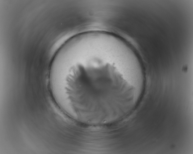 X0000115171415200911251323