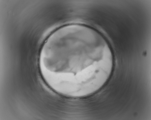 X0000115171416200911251323