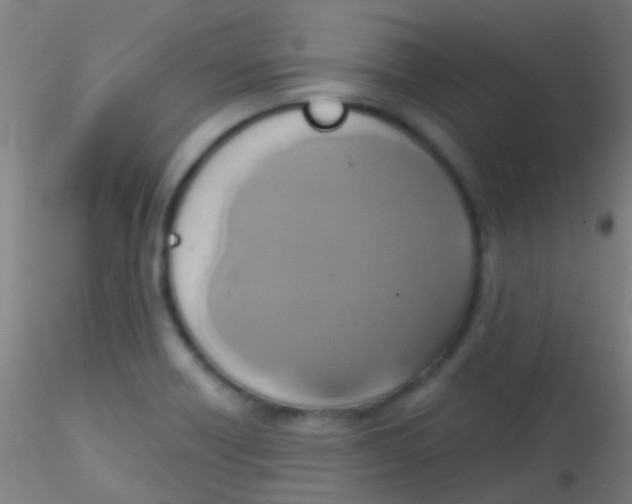 X0000115171418200911251323