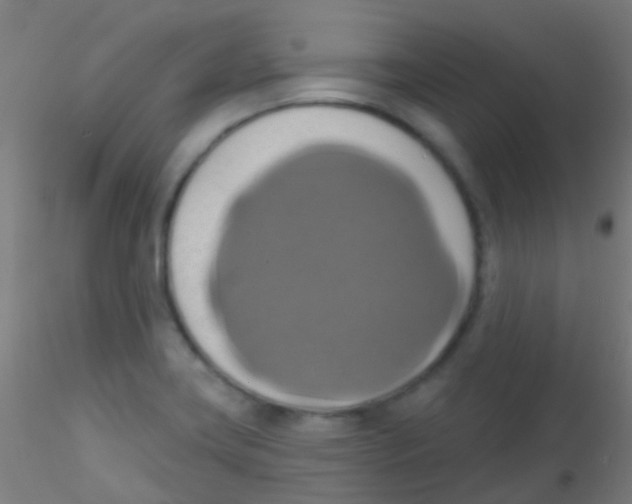 X0000115171419200911251323