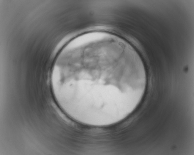 X0000115171420200911251323