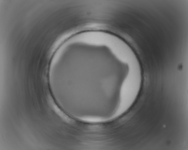 X0000115171421200911251323