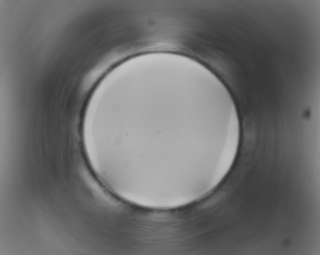 X0000115171422200911251323