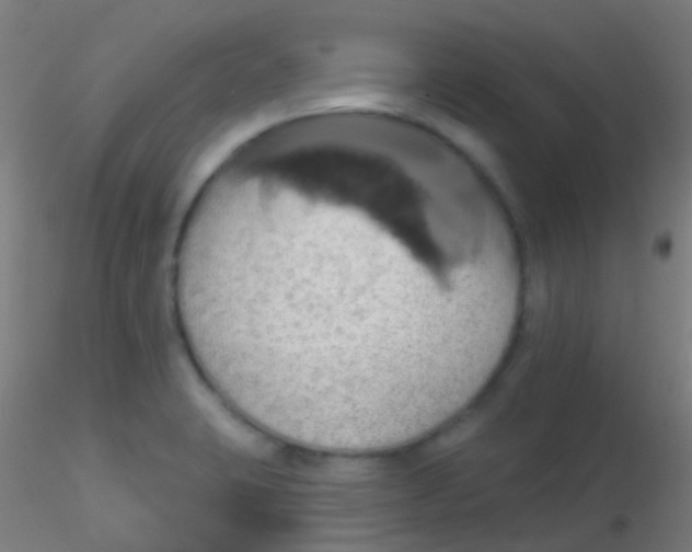 X0000115171423200911251323