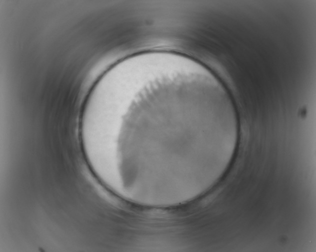 X0000115171424200911251323