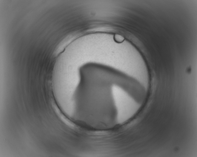 X0000115171425200911251324