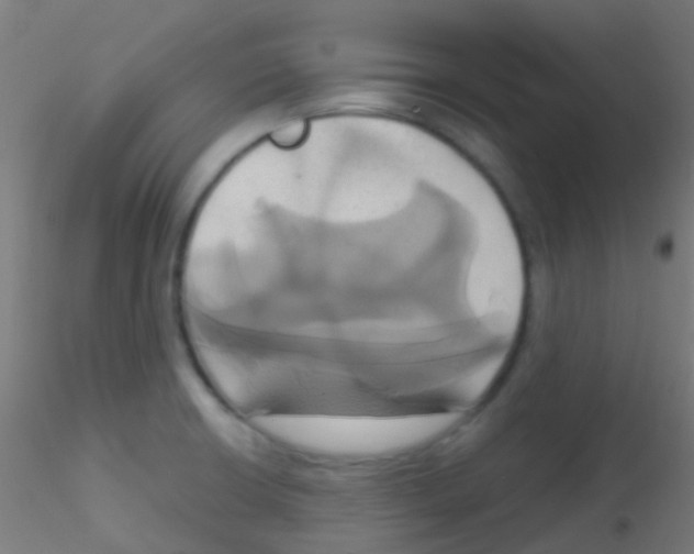 X0000115171426200911251324