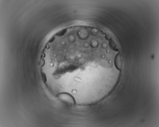 X0000115171427200911251324