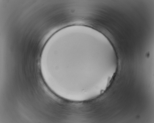 X0000115171428200911251324