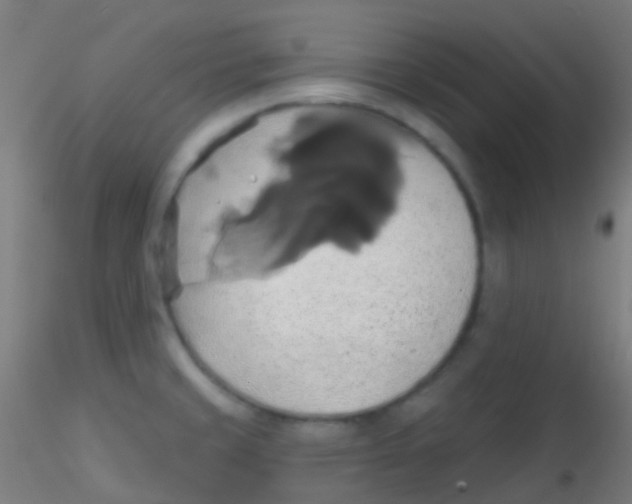 X0000115171429200911251324