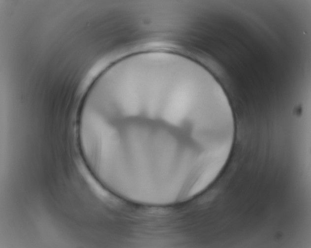 X0000115171430200911251324