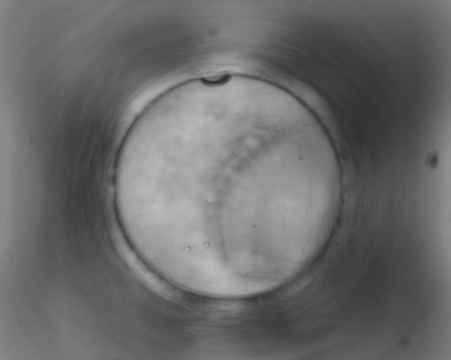 X0000115171431200911251324