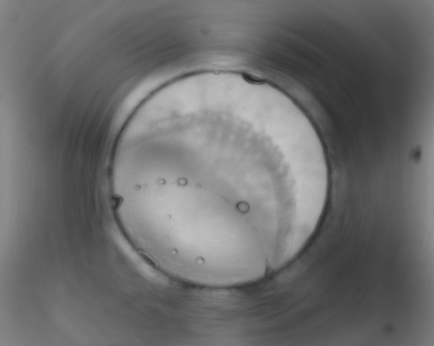 X0000115171432200911251324