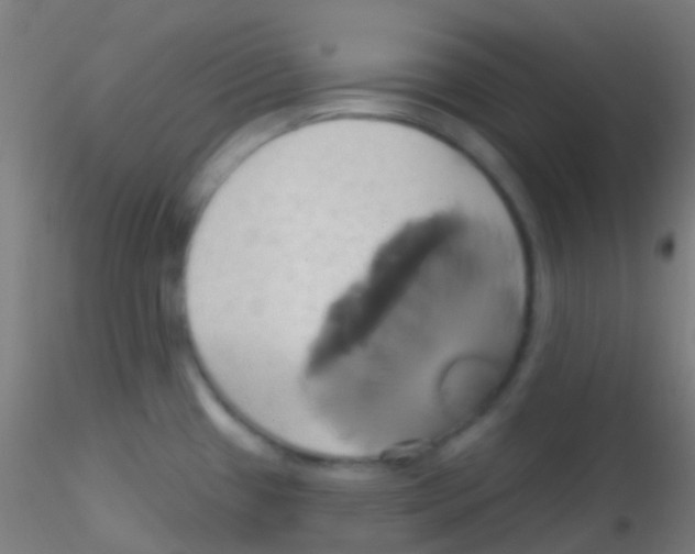 X0000115171433200911251324